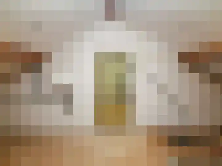 Visveldsestraat 3 Lent thumbnail 28