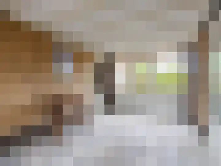 Visveldsestraat 3 Lent thumbnail 29