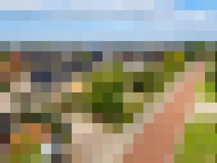 Visveldsestraat 3 Lent thumbnail 4