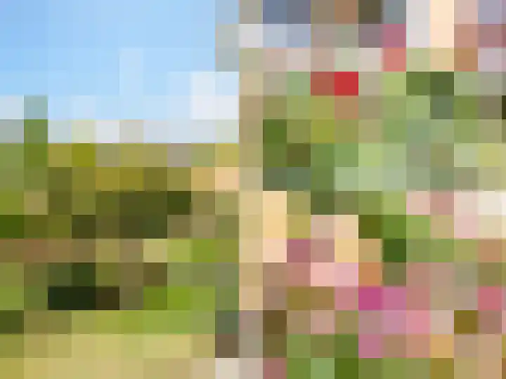 Visveldsestraat 3 Lent thumbnail 41