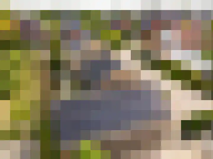 Visveldsestraat 3 Lent thumbnail 45