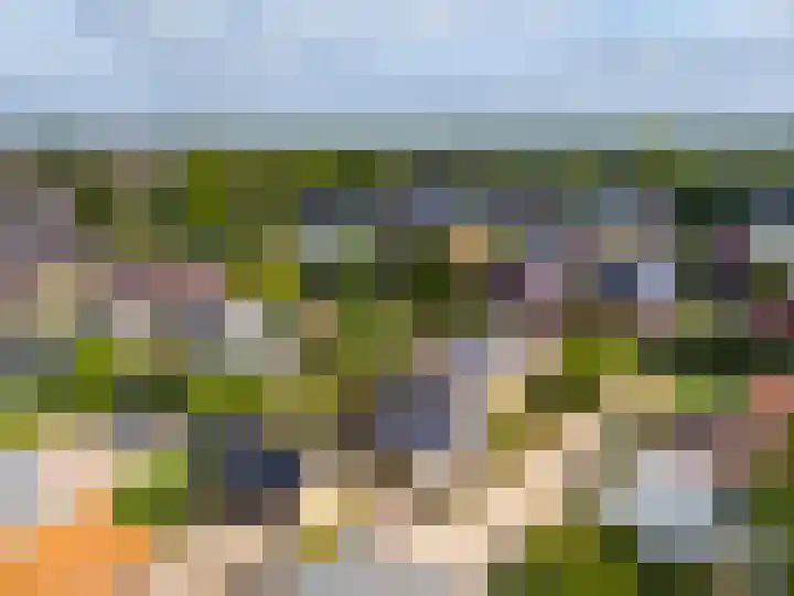 Visveldsestraat 3 Lent thumbnail 47
