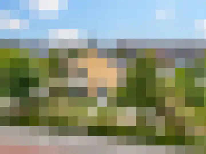 Visveldsestraat 3 Lent thumbnail 5