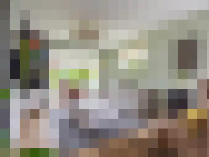 Visveldsestraat 3 Lent thumbnail 6