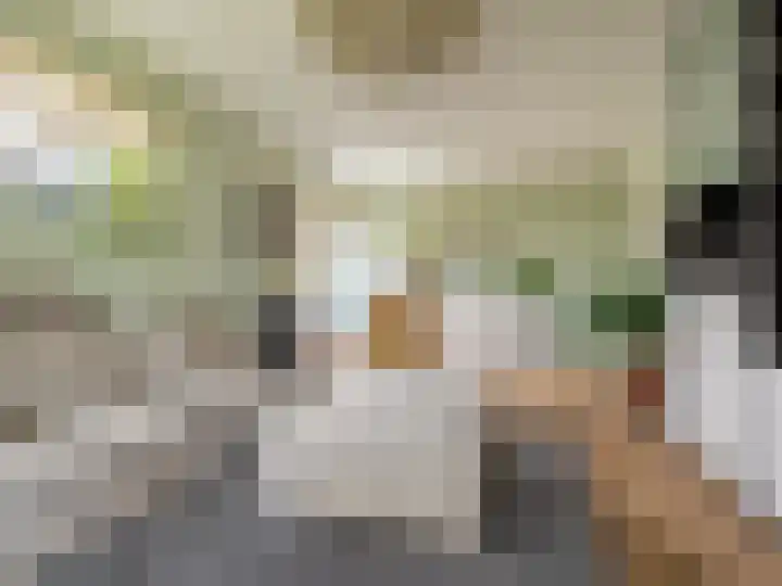 Visveldsestraat 3 Lent thumbnail 7