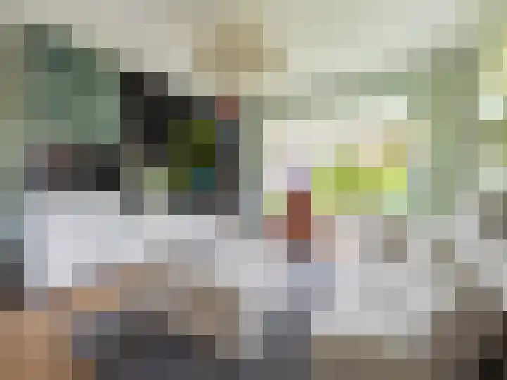 Visveldsestraat 3 Lent thumbnail 8