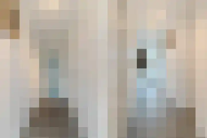 Visven 309 Veghel thumbnail 11