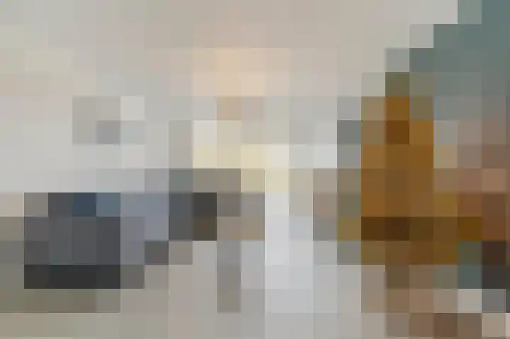 Visven 309 Veghel thumbnail 13