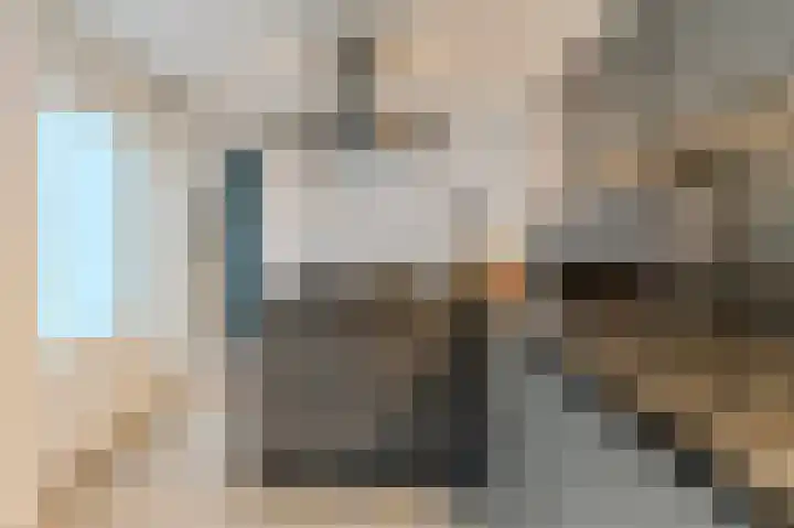 Visven 309 Veghel thumbnail 23