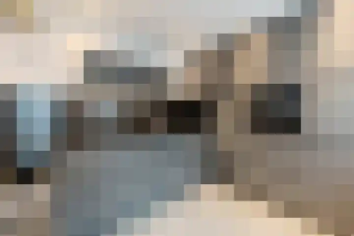 Visven 309 Veghel thumbnail 25