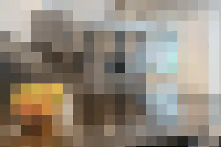 Visven 309 Veghel thumbnail 26
