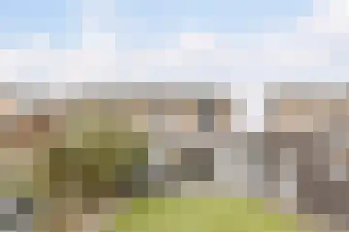 Visven 309 Veghel thumbnail 43