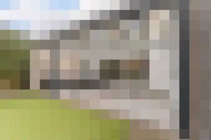 Visven 309 Veghel thumbnail 44