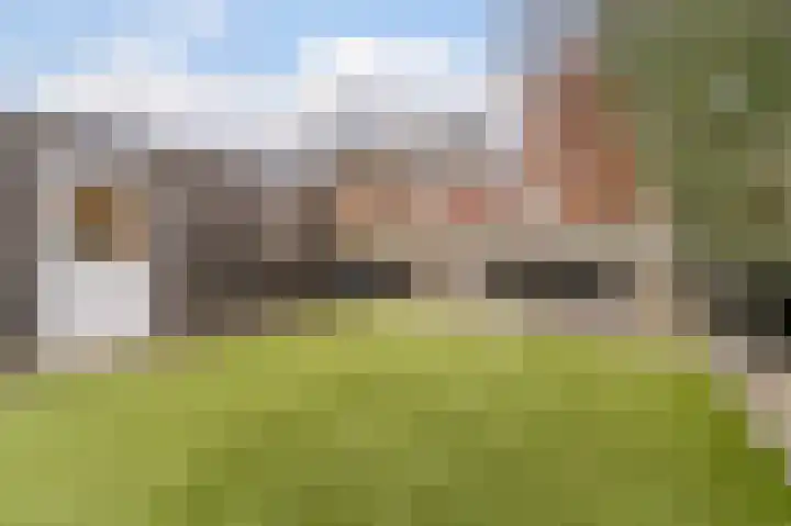 Visven 309 Veghel thumbnail 51