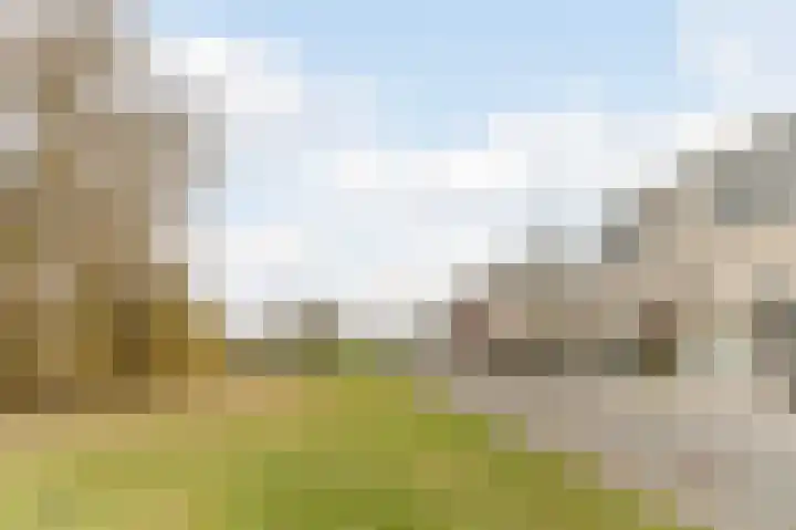 Visven 309 Veghel thumbnail 57