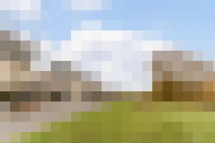 Visven 309 Veghel thumbnail 58