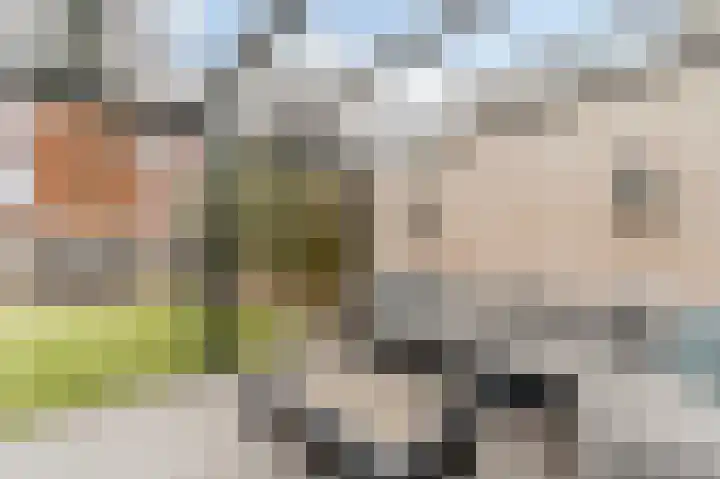 Visven 309 Veghel thumbnail 6