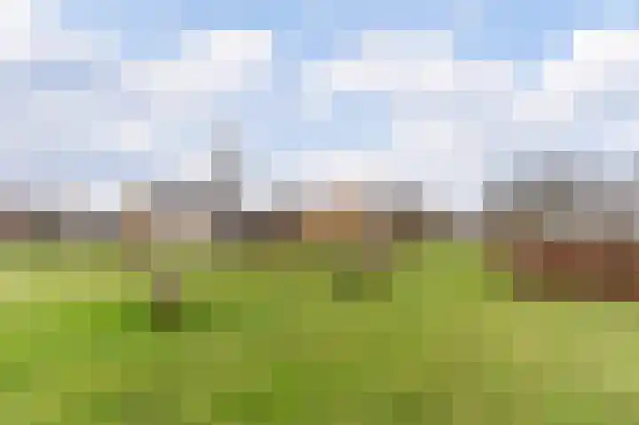 Visven 309 Veghel thumbnail 60