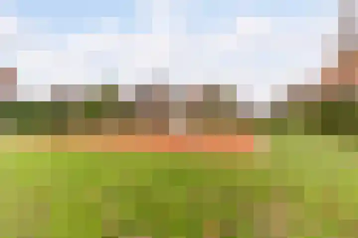 Visven 309 Veghel thumbnail 62