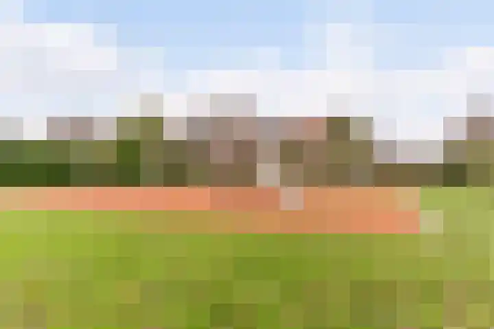 Visven 309 Veghel thumbnail 63
