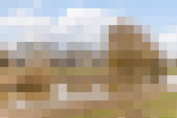 Visven 309 Veghel thumbnail 8