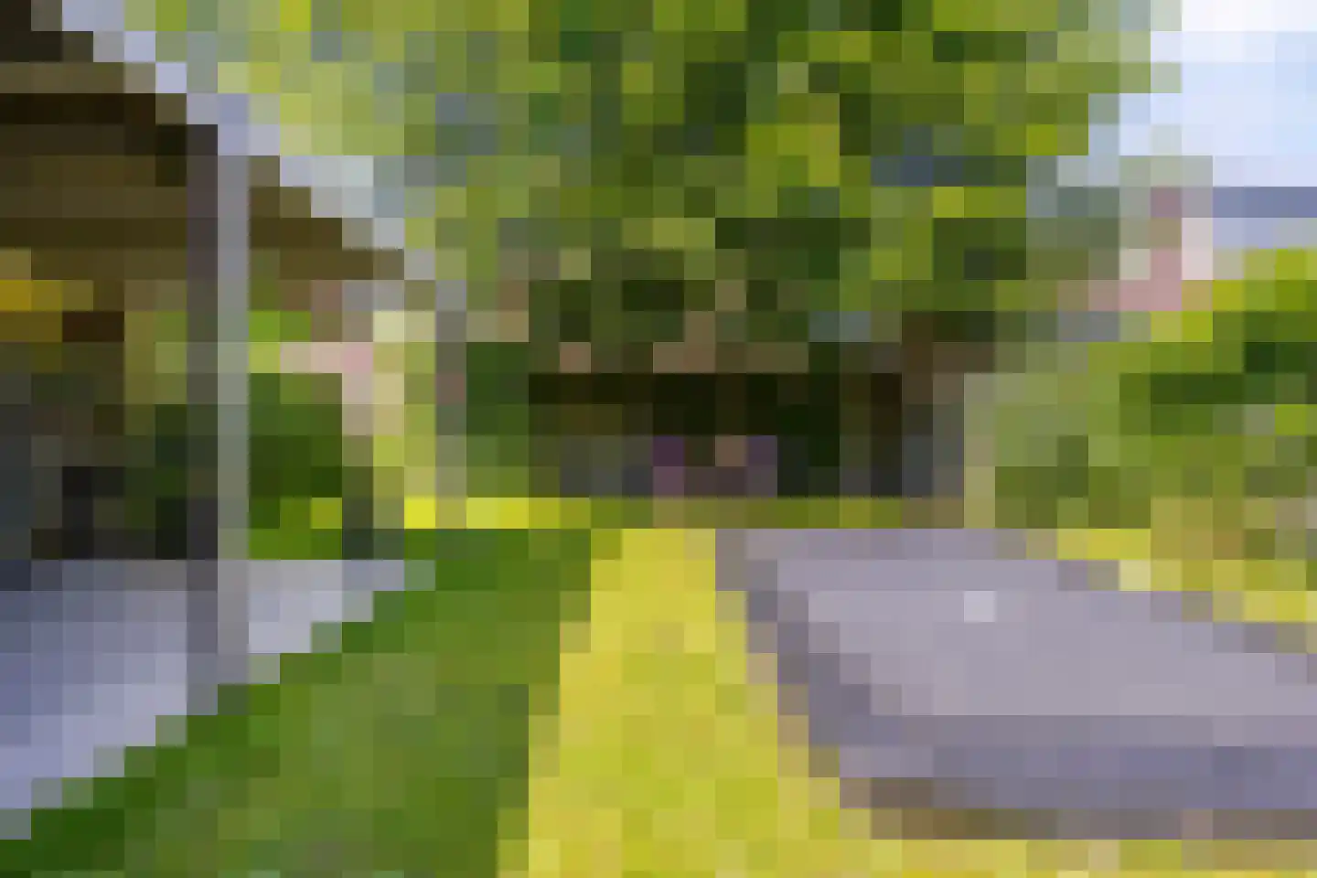 Visven 310 Veghel thumbnail 33