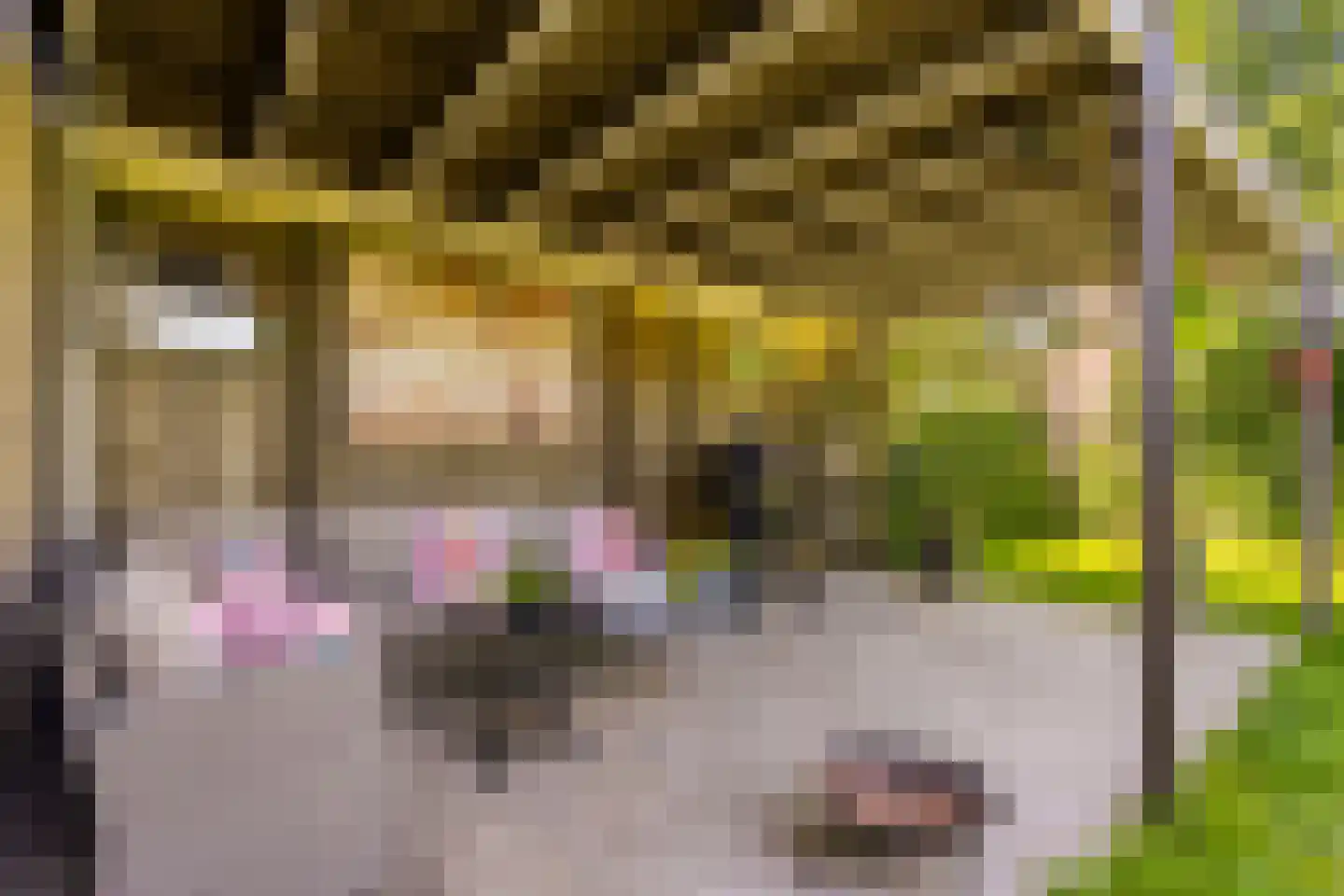 Visven 310 Veghel thumbnail 34