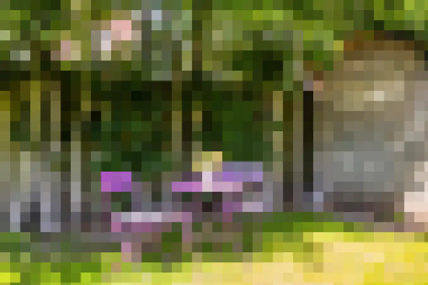 Visven 310 Veghel thumbnail 36