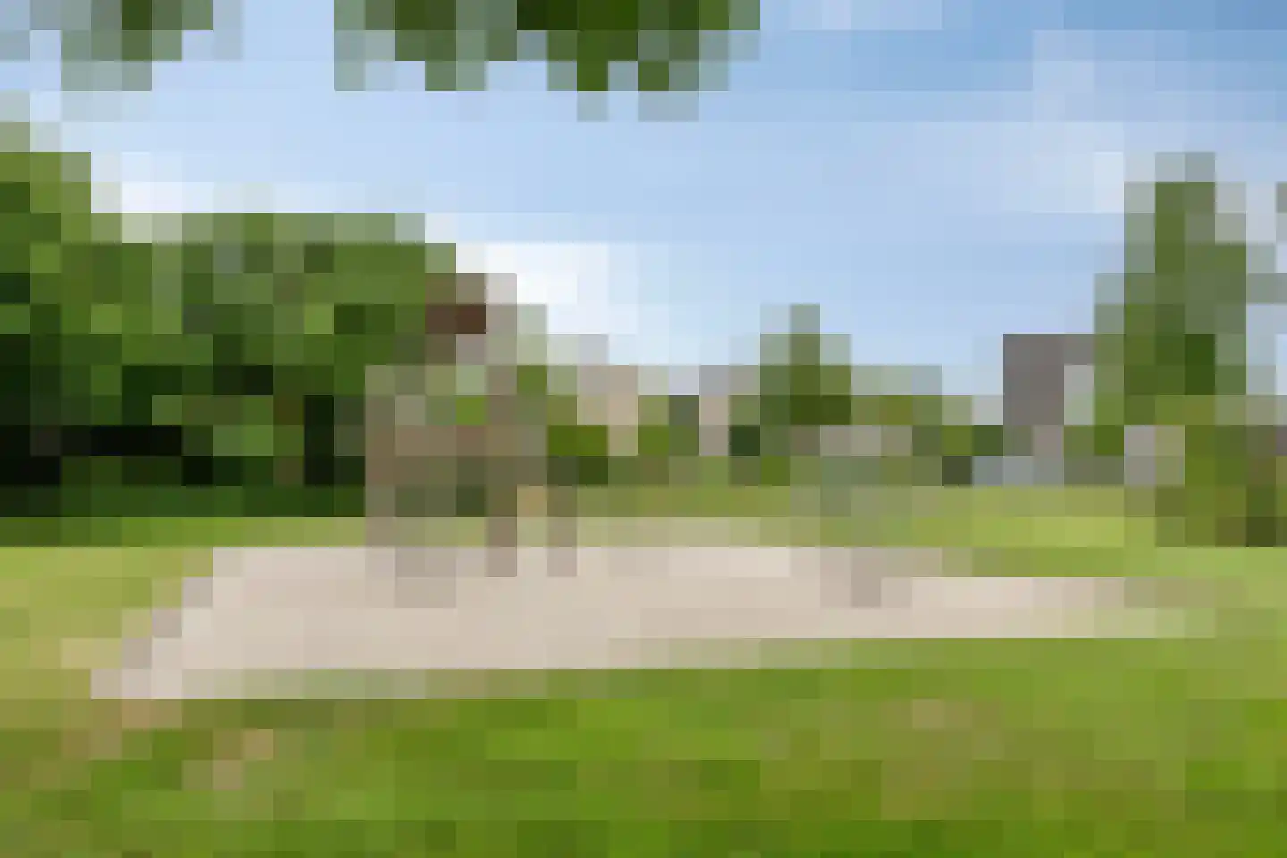 Visven 310 Veghel thumbnail 37