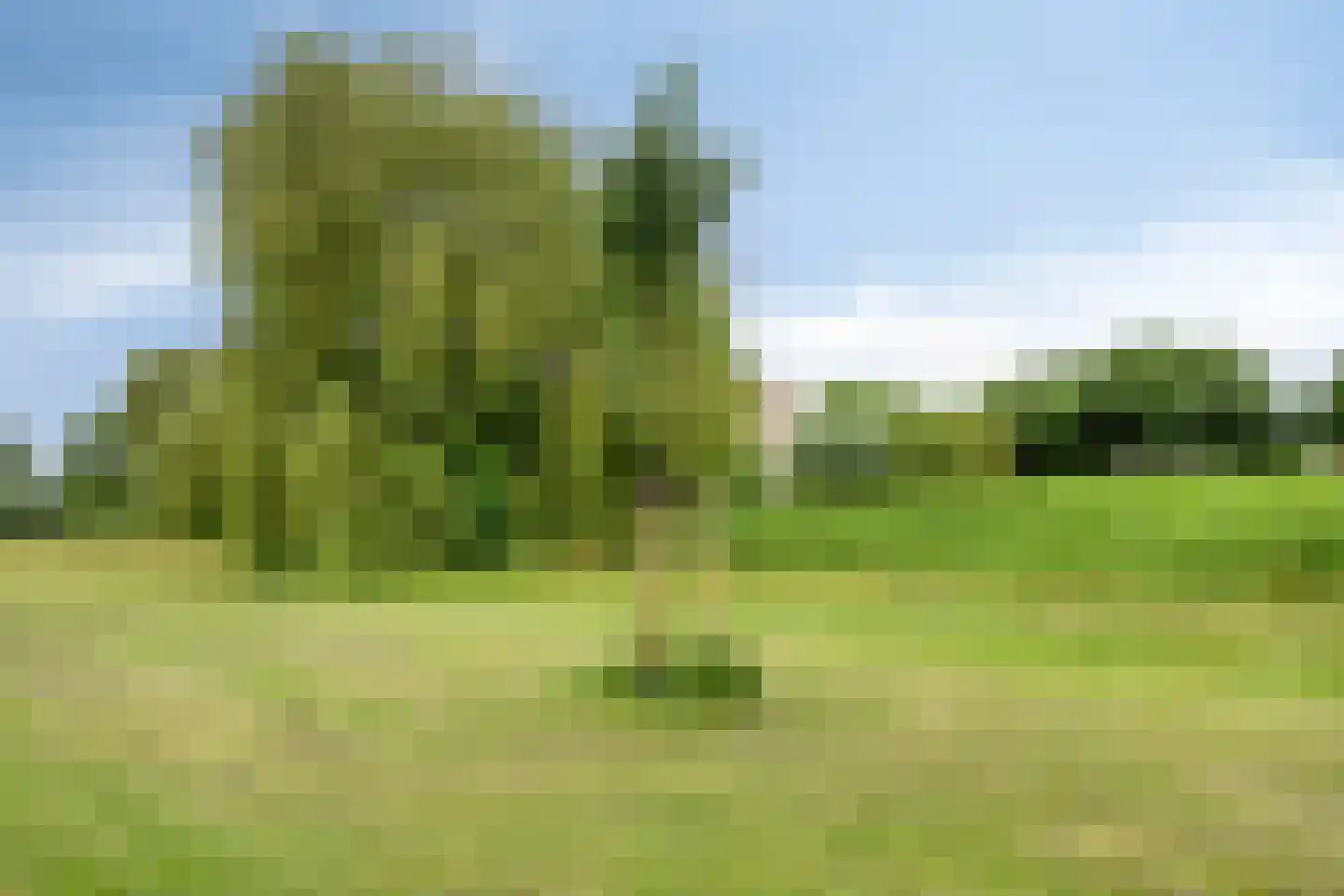 Visven 310 Veghel thumbnail 38