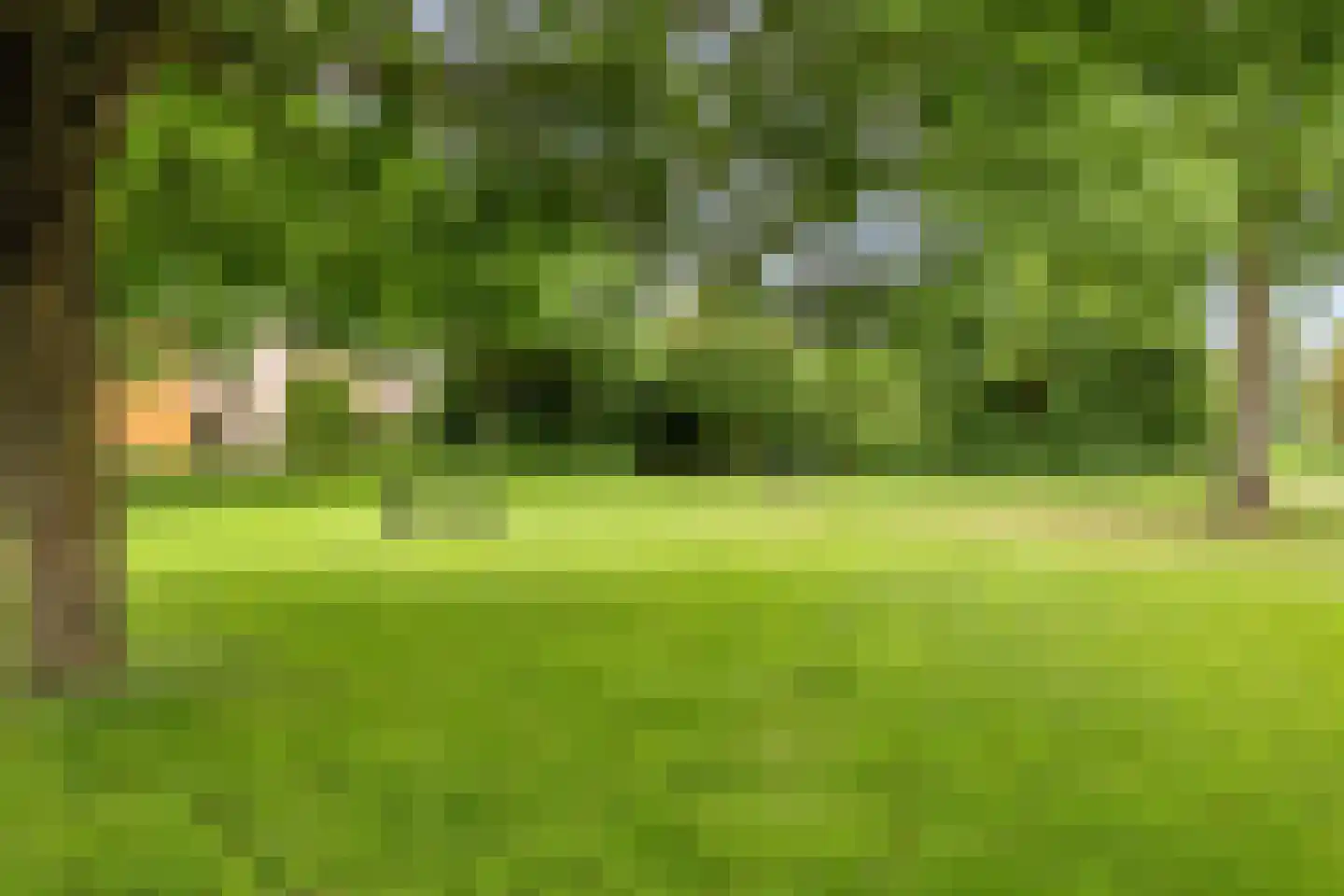 Visven 310 Veghel thumbnail 39