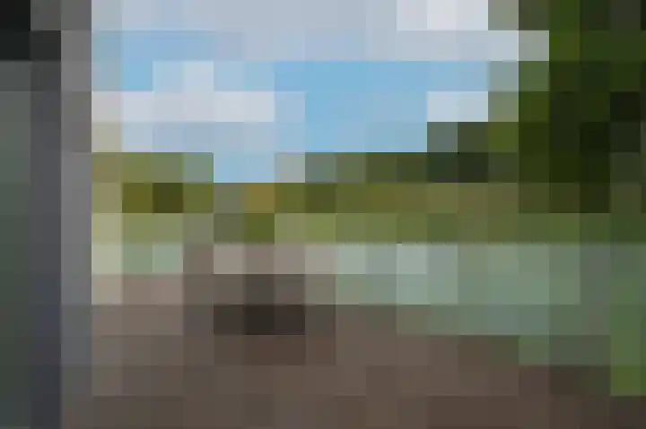 Visven 351 Veghel thumbnail 16