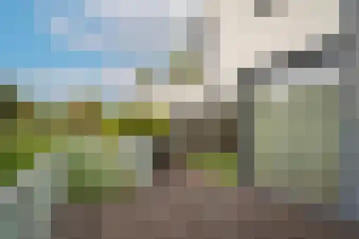 Visven 351 Veghel thumbnail 17