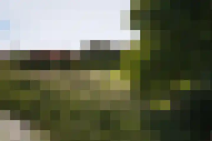 Visven 351 Veghel thumbnail 19