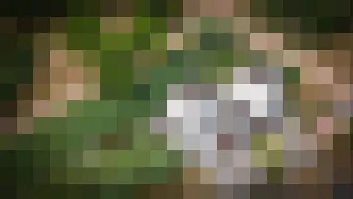 Visven 351 Veghel foto 2