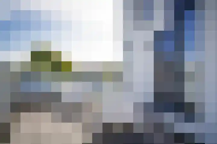 Visven 351 Veghel thumbnail 32