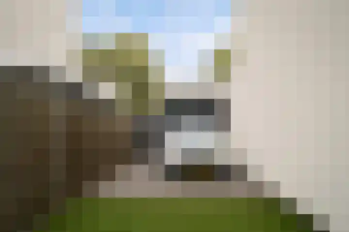 Visven 351 Veghel thumbnail 47