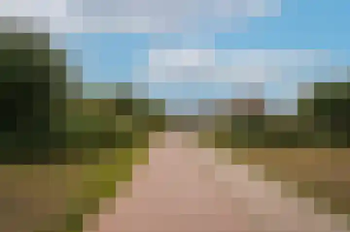 Visven 351 Veghel thumbnail 49