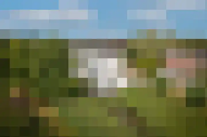 Visven 351 Veghel thumbnail 52