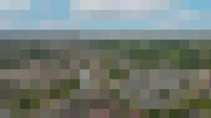 Visven 351 Veghel thumbnail 54