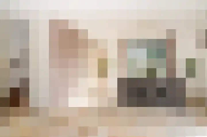 Visven 351 Veghel thumbnail 8