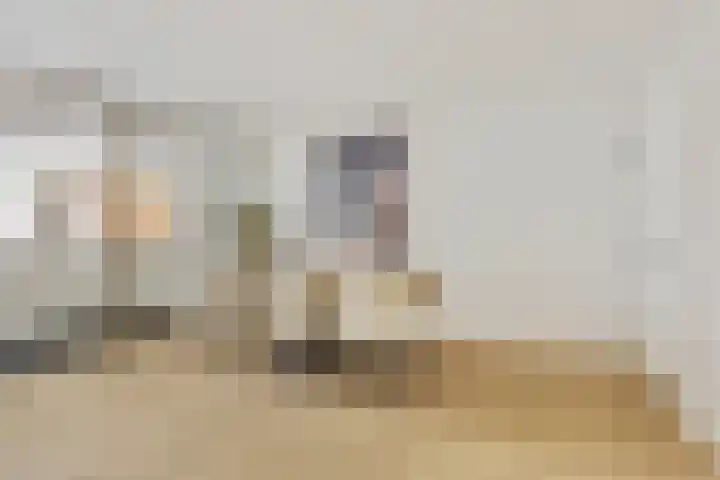 Visven 423 Veghel thumbnail 10