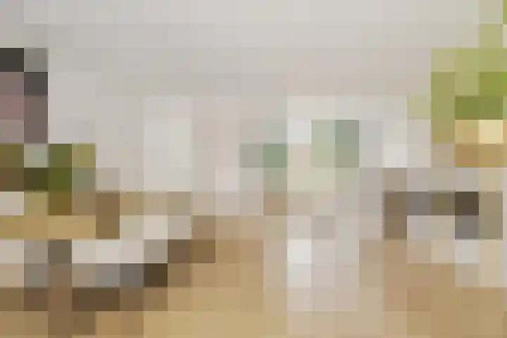 Visven 423 Veghel thumbnail 12