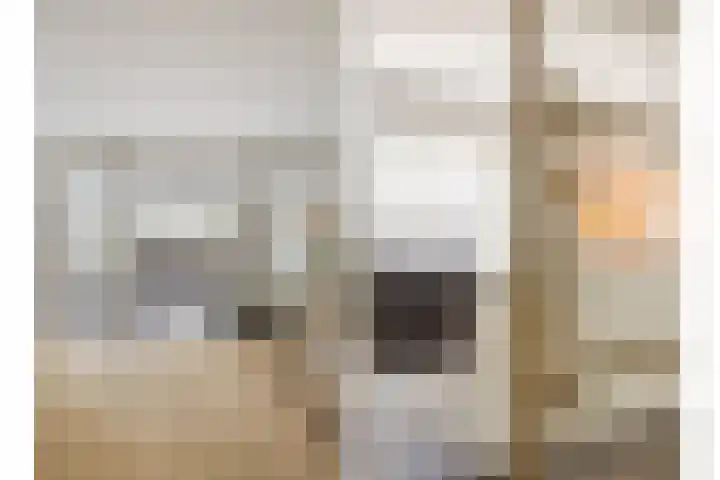 Visven 423 Veghel thumbnail 13