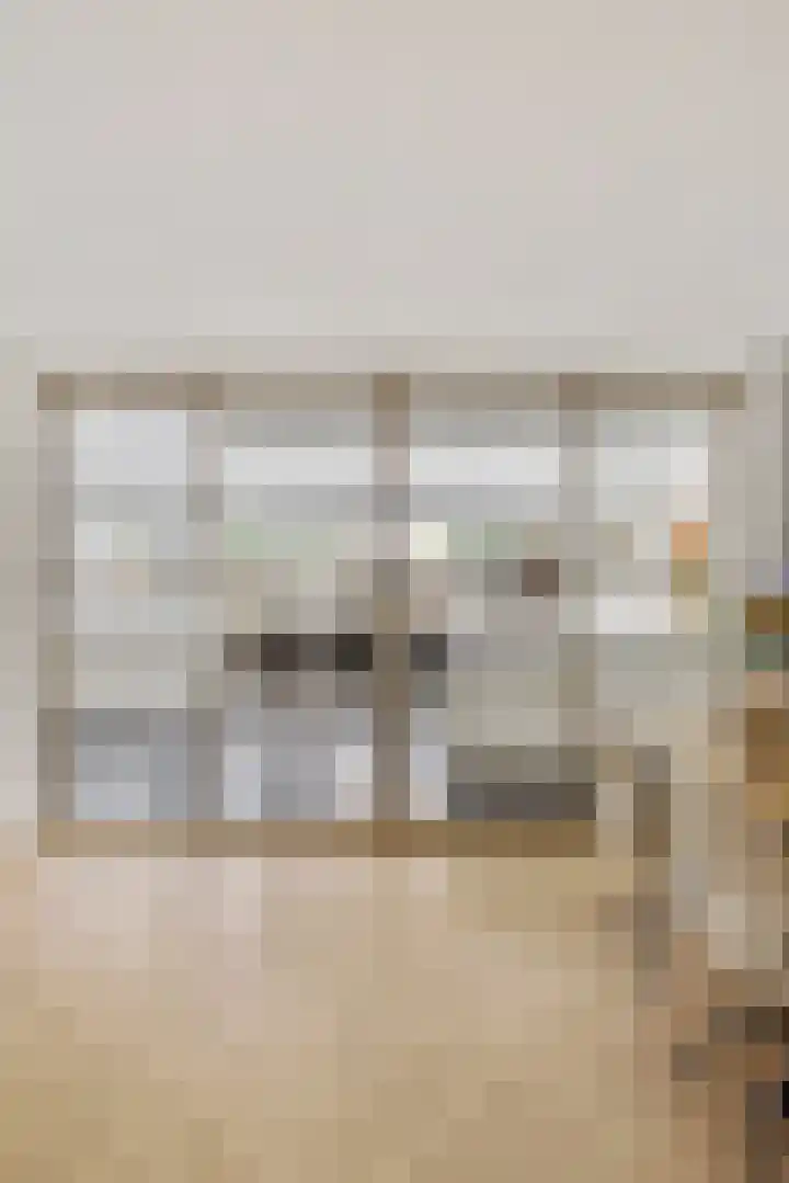 Visven 423 Veghel thumbnail 14