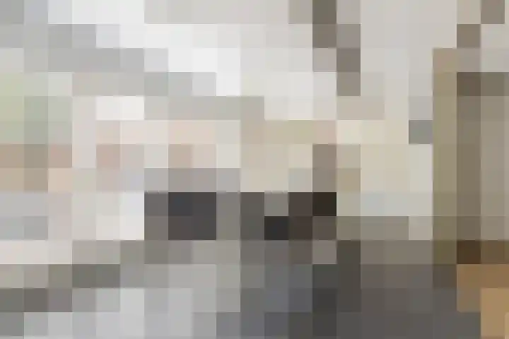 Visven 423 Veghel thumbnail 15