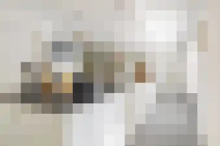 Visven 423 Veghel thumbnail 17