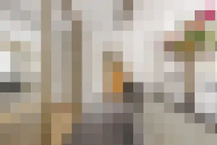 Visven 423 Veghel thumbnail 19