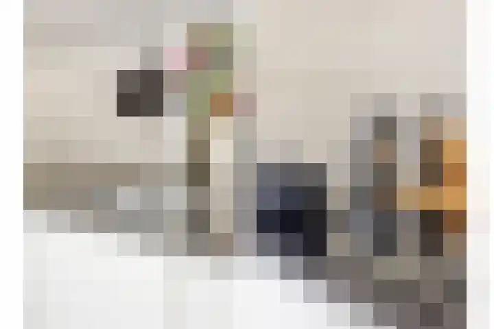 Visven 423 Veghel thumbnail 20