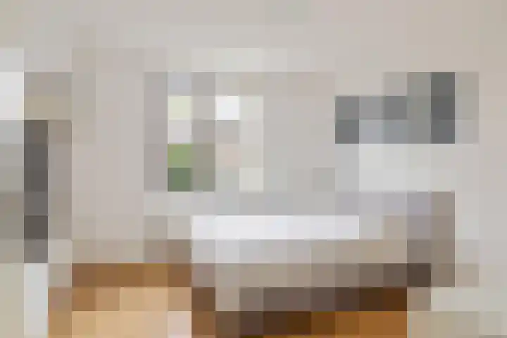 Visven 423 Veghel thumbnail 27